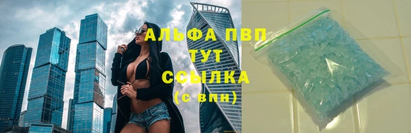 гидра Абаза