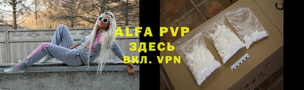 гидра Абаза