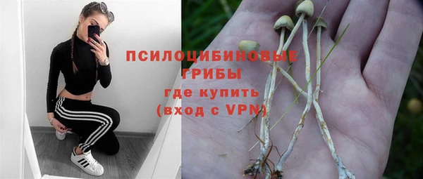 кокс Алексеевка