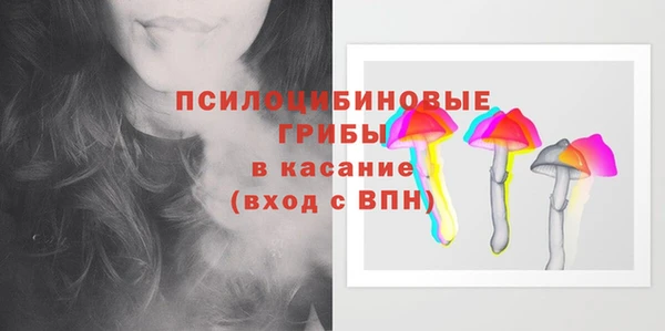 гидра Абаза