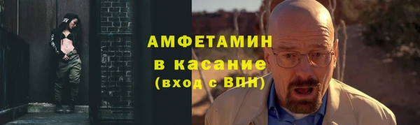 гидра Абаза