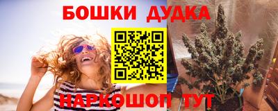 стаф Кандалакша
