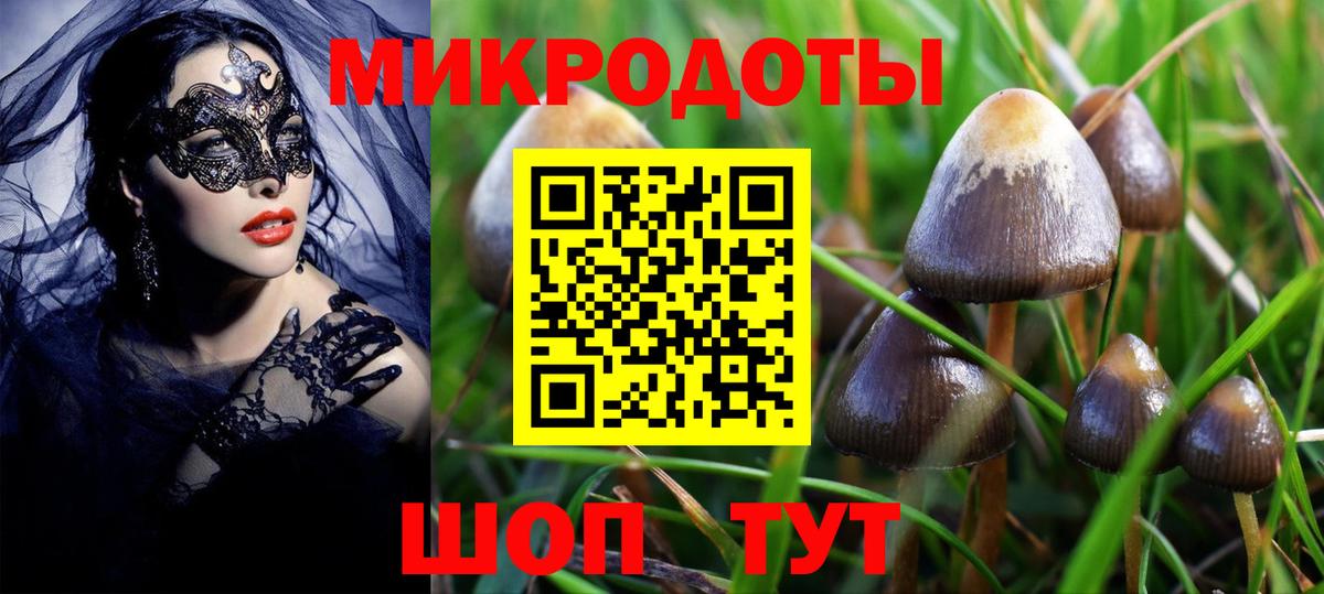 Галлюциногенные грибы GOLDEN TEACHER Лосино-Петровский