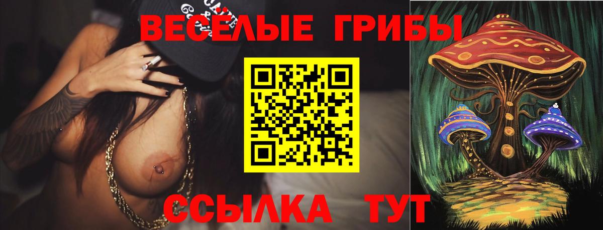 Галлюциногенные грибы мухоморы  Вход с VPN  как найти   Лосино-Петровский 