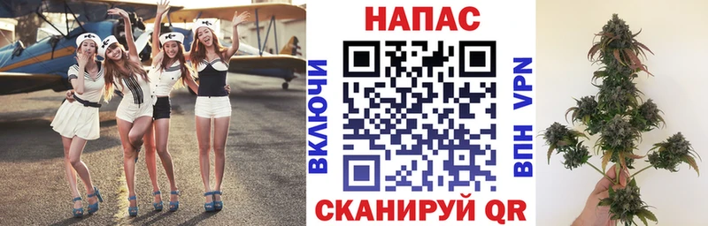 Конопля MAZAR  где найти   Лосино-Петровский 